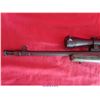 Image 10 : RUGER 10-22