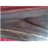 Image 14 : RUGER 10-22