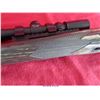 Image 16 : RUGER 10-22