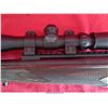 Image 17 : RUGER 10-22