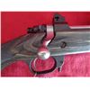 Image 21 : RUGER 10-22