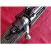 Image 24 : RUGER 10-22