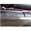 Image 3 : RUGER 10-22