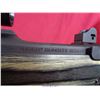 Image 5 : RUGER 10-22