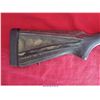 Image 6 : RUGER 10-22