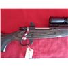 Image 7 : RUGER 10-22