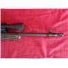 Image 9 : RUGER 10-22