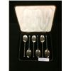 Image 1 : STERLING SILVER SPOON SET W/ CASE