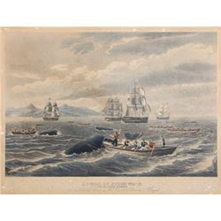 Thomas Birch, A Shoal of Sperm Whale - Off the Island of Hawaii, Aquatint and Engraving