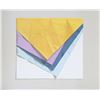 Image 1 : Yrjo Edelmann, Color Layers, Lithograph