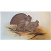 Image 1 : Don Balke, Ruffed Grouse, Lithograph
