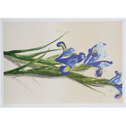 Carol Ann Bolt, Irises, Lithograph