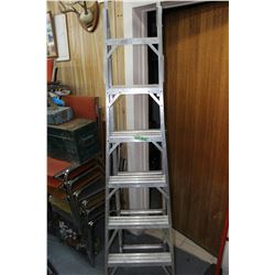 Extension/Multi Ladder