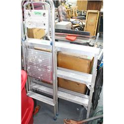 3' Wide Ladder & Step Ladder