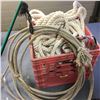Image 1 : Milk Crate w/Rope, Shanks, Whips & Lariat