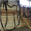 Image 1 : Harness / Hames etc