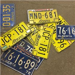 Collection of Lic Plates