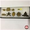 Image 1 : Post WW1 Badges - Canadian & Vancouver Regiment (8 Items)