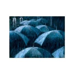 El Aguacero by Perez, Fabian