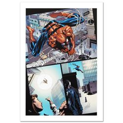 Amazing Spider-Man #526 by Stan Lee - Marvel Comics