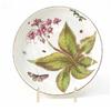 Image 1 : A Chelsea saucer, red anchor mark and period, 1752-56, painted with a red polyanthus, butterfly a...