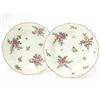 Image 1 : A pair of Worcester polychrome plates, first period, circa 1770, with wave borders, painted with...