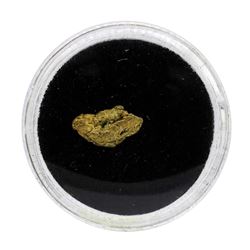 Gold Nugget Total Weight 0.69 Grams