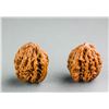 Image 1 : 2 PC Chinese Old Natural Walnut