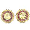 Image 1 : NATURAL MULTI COLOR CITRINE & GARNET Earrings