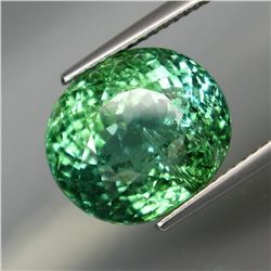Natural  Paraiba Color Tourmaline 11.26 Cts