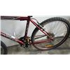 Image 2 : RED INFINITY RELLURIDE BIKE