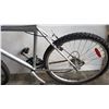 Image 2 : BLUE GREY NEXT BIKE