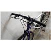 Image 4 : BLUE GREY NEXT BIKE