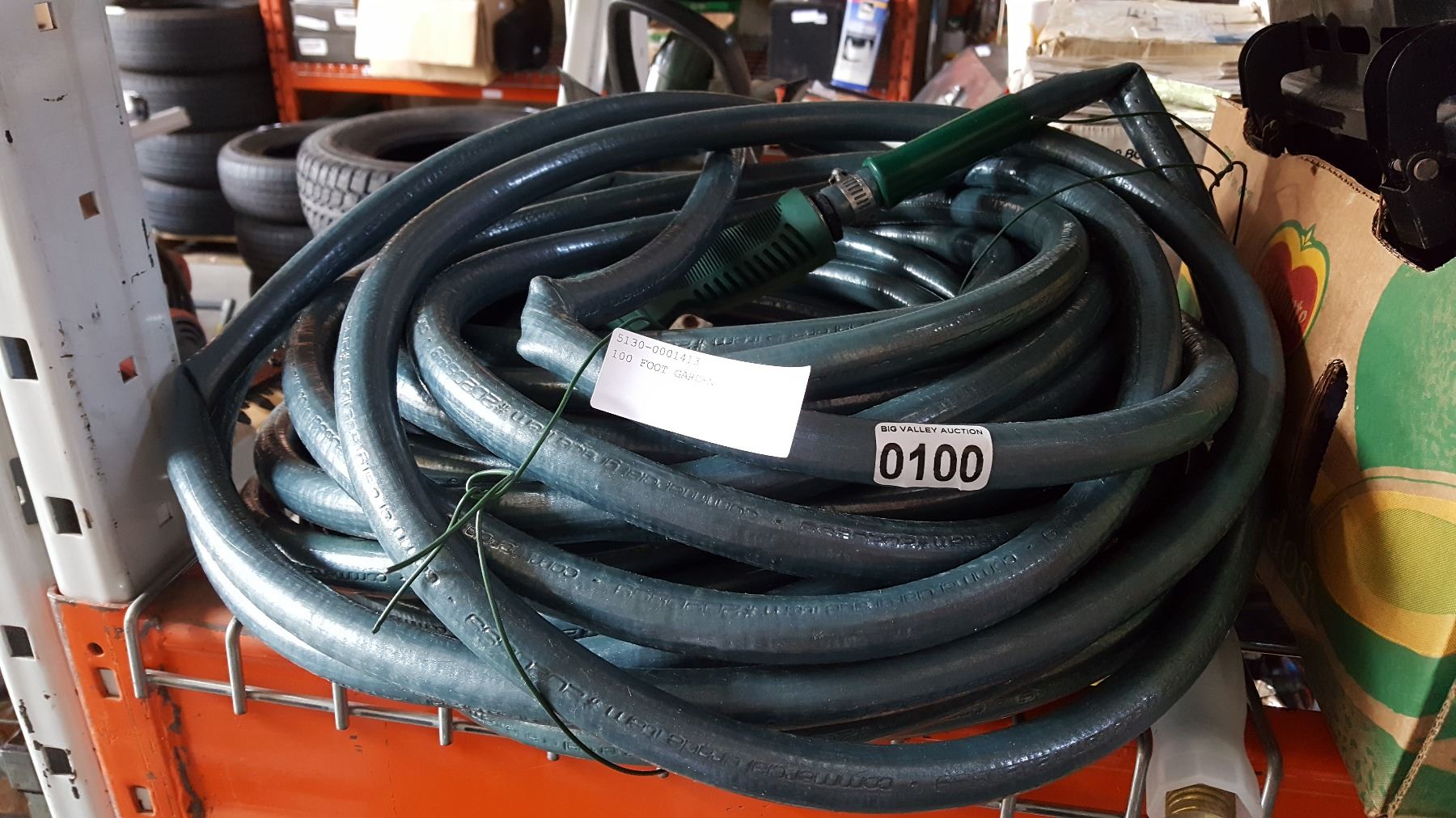 100 Foot Garden Hose