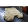 Image 1 : LARGE SHEEP SKIN