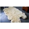 Image 2 : LARGE SHEEP SKIN