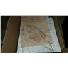 Image 2 : BOX OF BC MAPS AND CHARTS