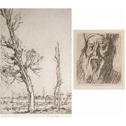 Sir Frank Brangwyn (1867-1956) unframed etching, 'Trees. Longpre No.1', F.A.S. 259, signed in pen...