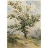 Image 1 : Thomas Churchyard (1798-1865) watercolour, Tree and windmill in a landscape, 7.5 x 5.5 ins....