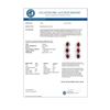 Image 3 : 5.63 CTW Ruby & Diamond Earrings 14K White Gold - REF-115M5H - 11249