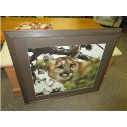 33 x 29 Cougar Print Framed and matted