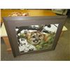 Image 1 : 33 x 29 Cougar Print Framed and matted