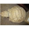 Image 3 : Large Garden Tortoise 12 x 17 x 8 high / concrete and heavy