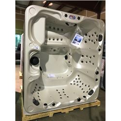 CAL SPA HOT TUB, HARMONY SERIES, CAMEO ACRY 100X100 MIST BASE, 3 PILLOWS INFINITY, 85 HALO