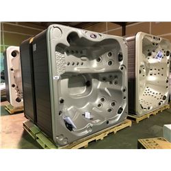 CAL SPA HOT TUB,GLORY, SILK ACRY 100X100 MIST BASE, 3 PILLOWS INFINITY,40 JETS, LOUNGER,