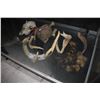 Image 1 : ASSORTED SKULLS, HORNS, BONES & FUR