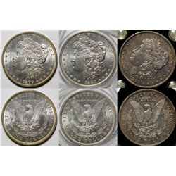 Morgan Dollars