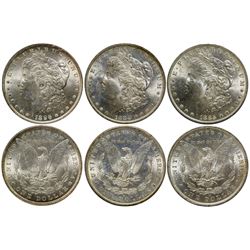 Morgan Dollars