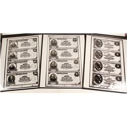 Northern Nevada Banknotes Repros