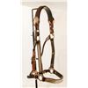 Image 1 : Halter (Show)